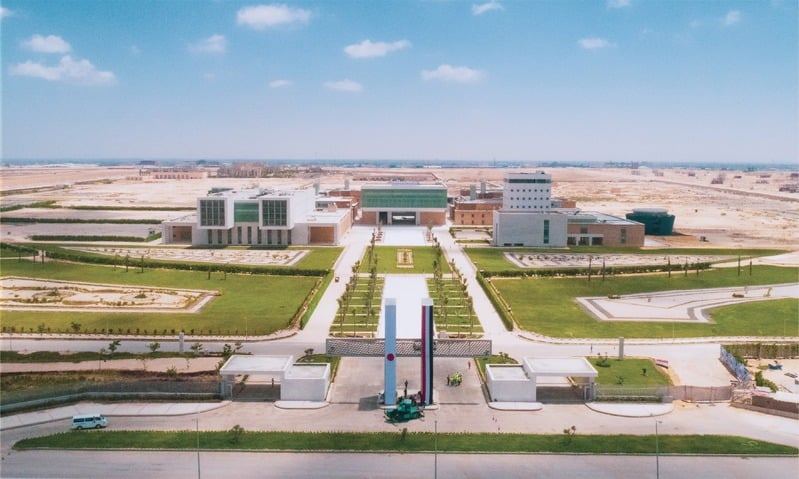Alamein International University